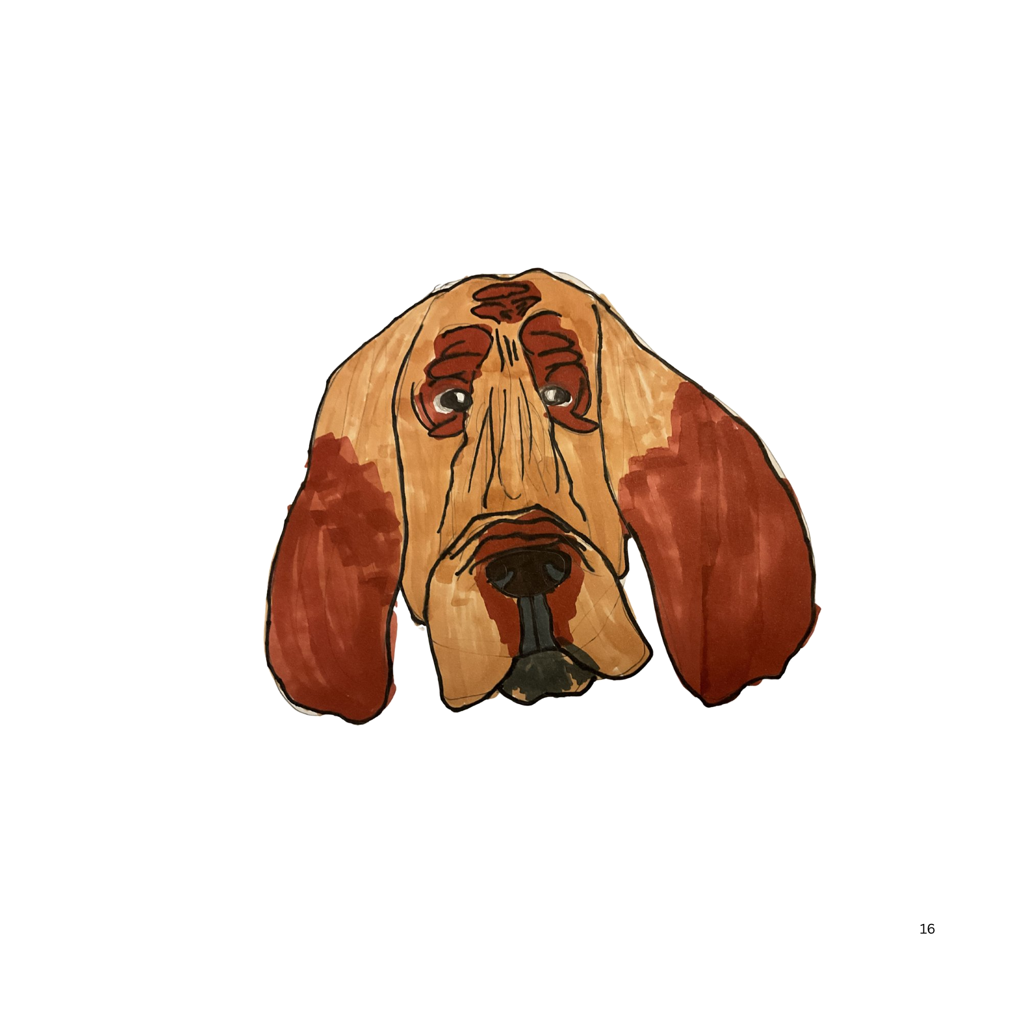Bloodhound