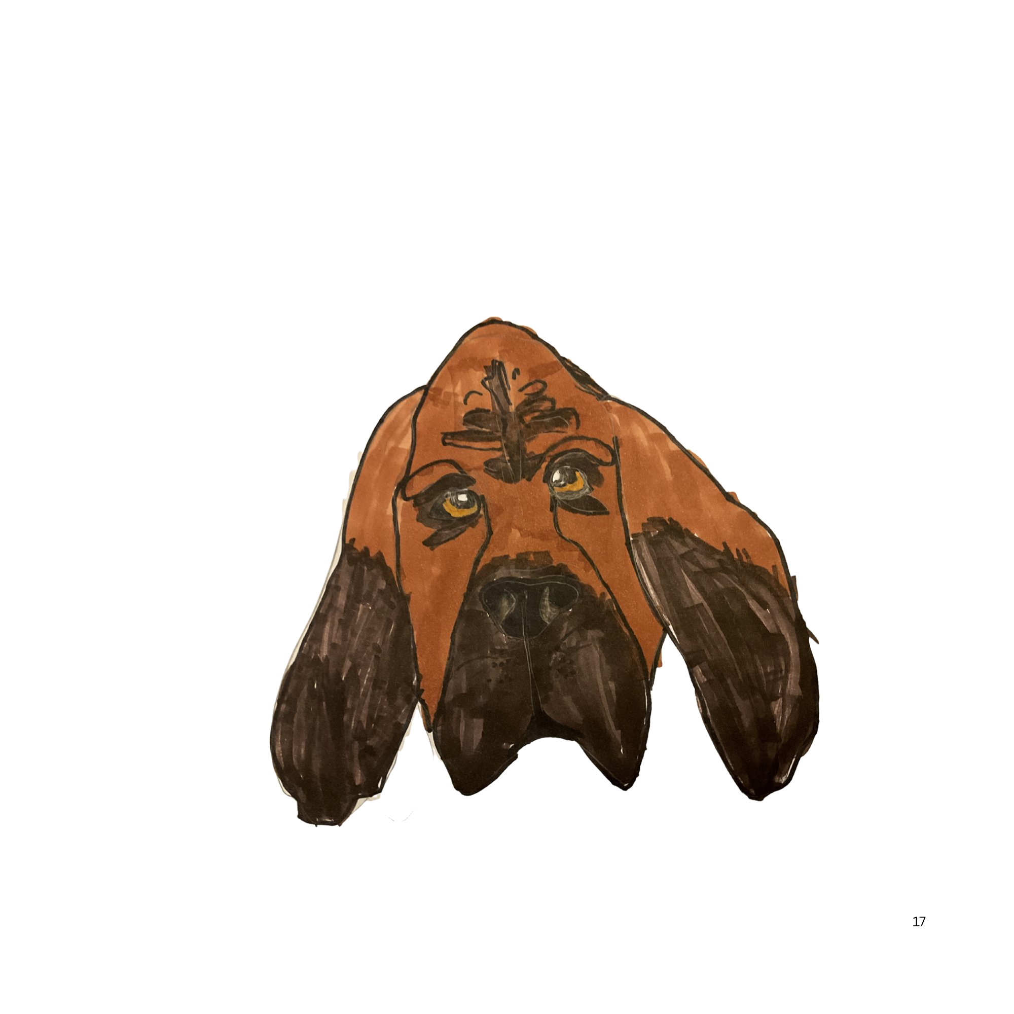 Coonhound