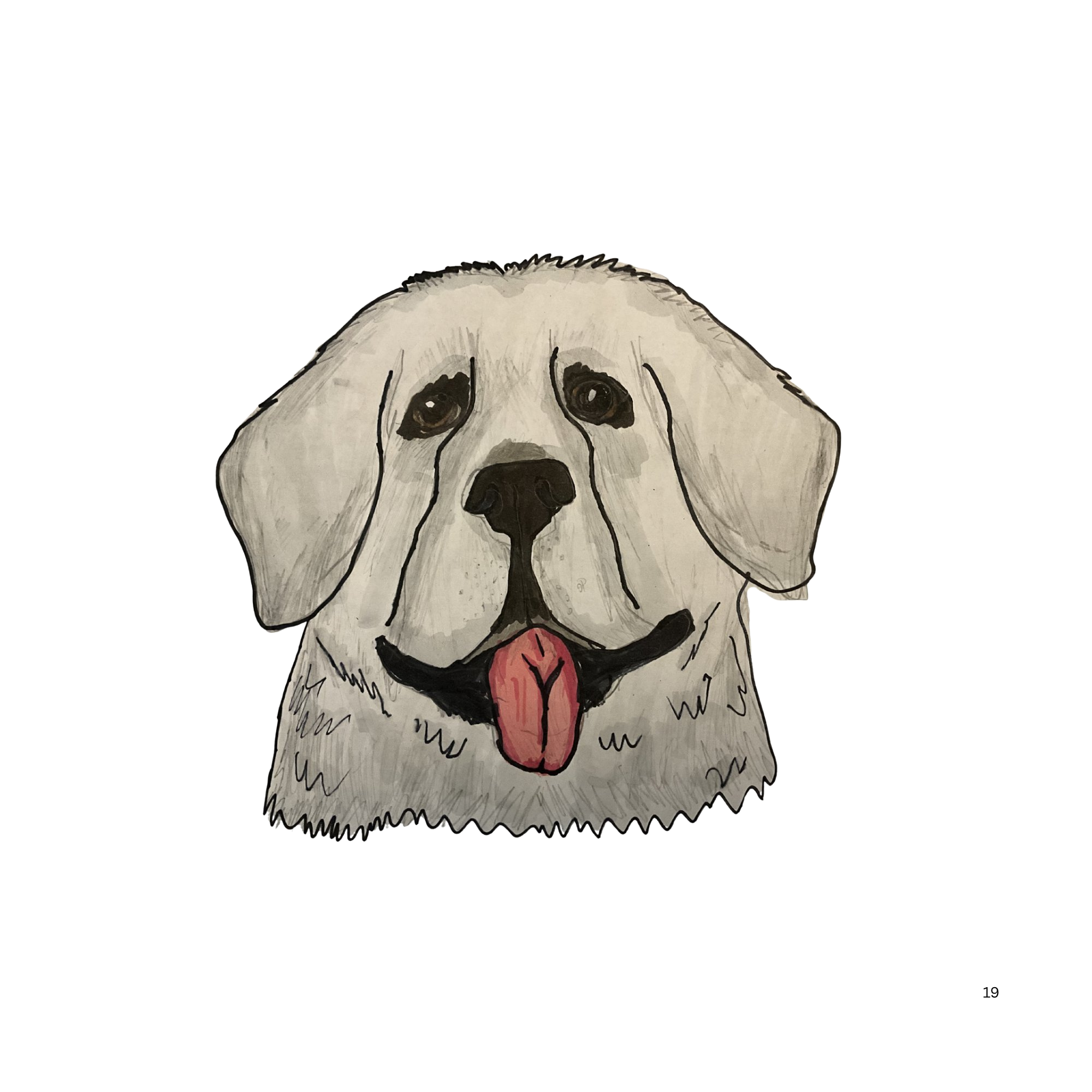Great Pyrenees