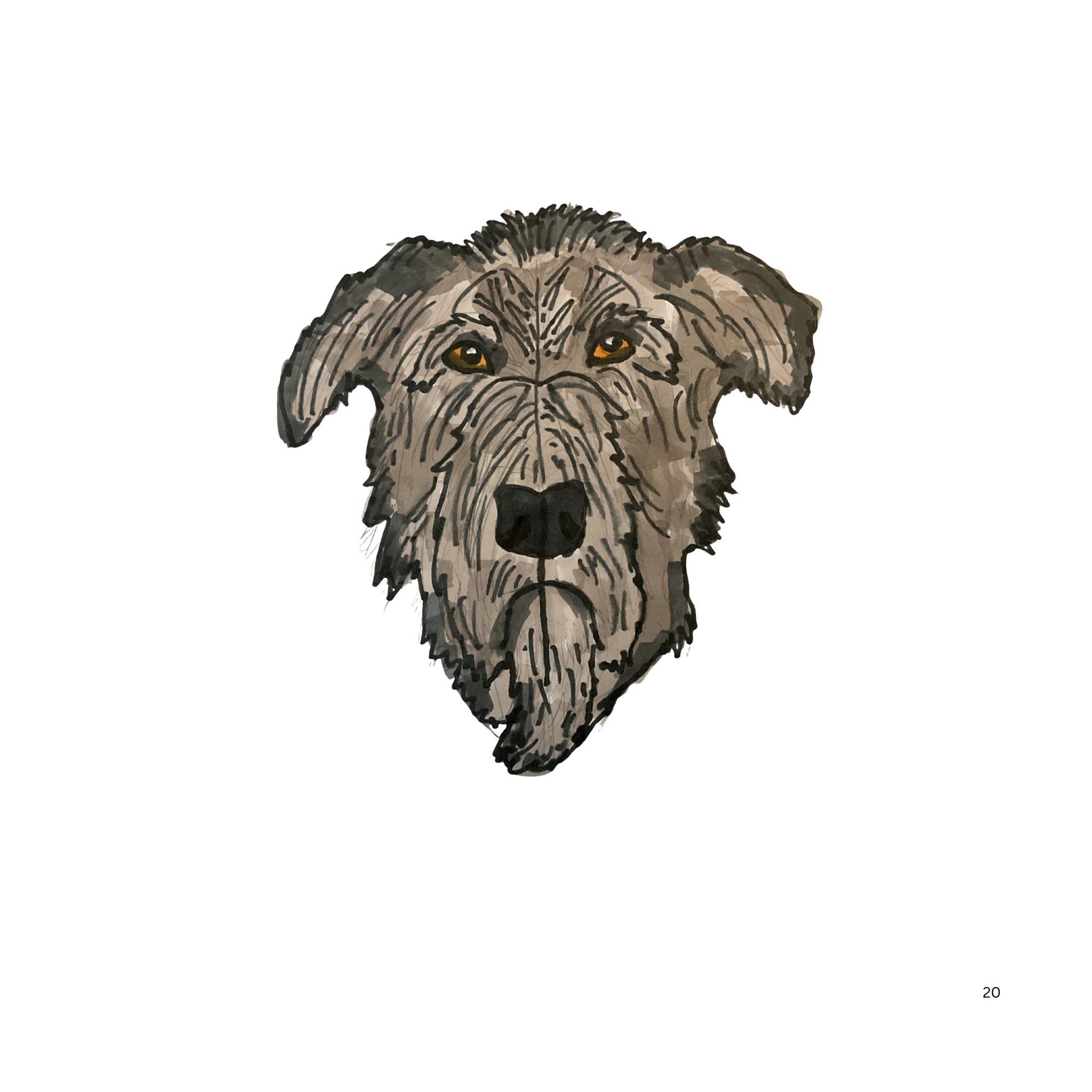 Irish Wolfhound