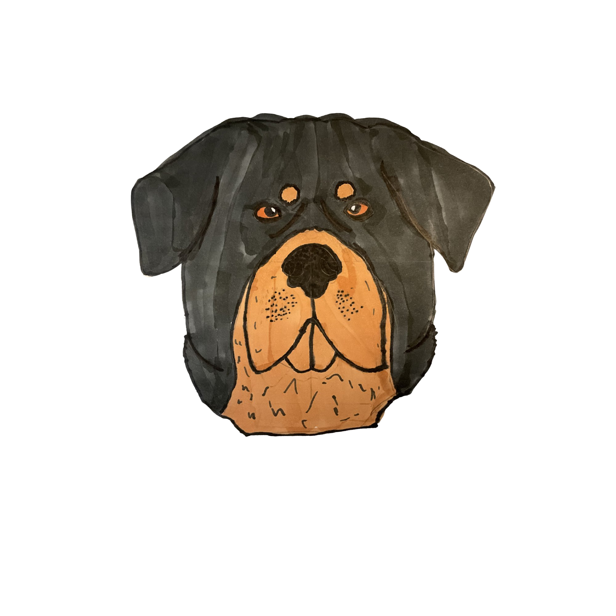 Rottweiler